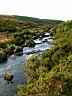 Dartmoor33.jpg