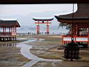 Miyajima65.jpg
