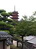 Miyajima72.jpg
