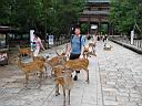 Nara8.jpg